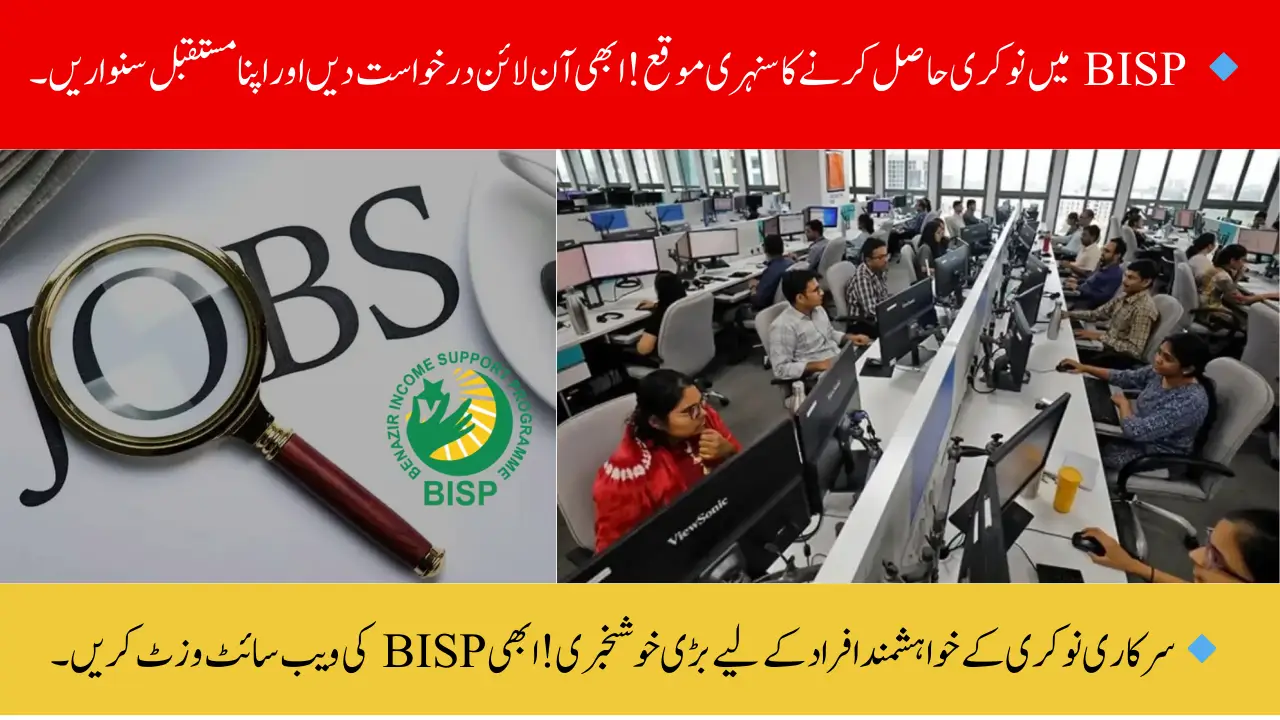 New Online Application Method for BISP Jobs – Complete Guide and Easy Way to Apply!