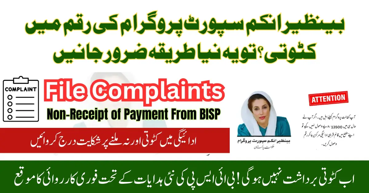 BISP 8171 Payment Instructions: How to File Deduction Complaints & Recover Full Amount Instantly