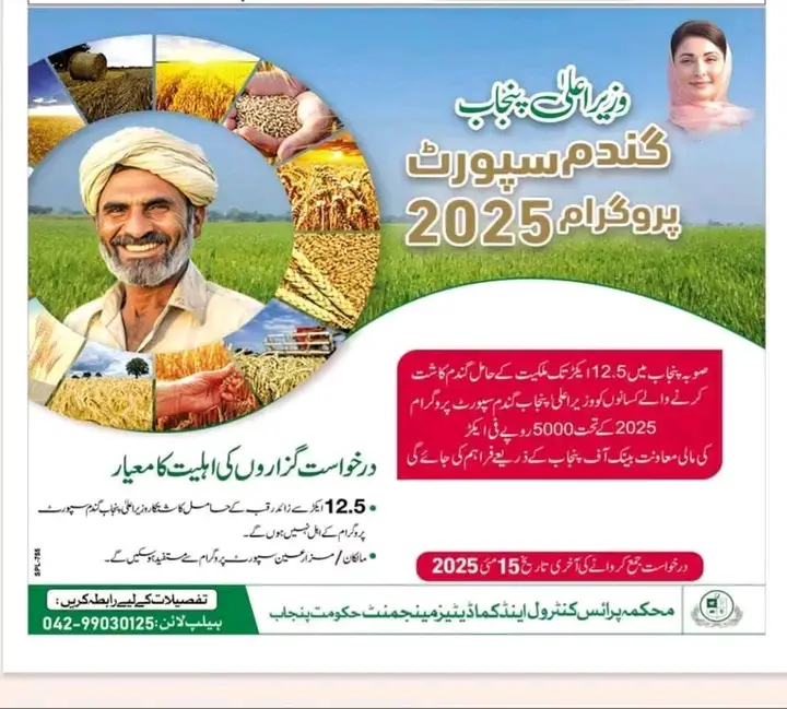 Punjab CM Wheat Support Program 2025 – Apply Now and Get Rs. 5,000 Per Acre