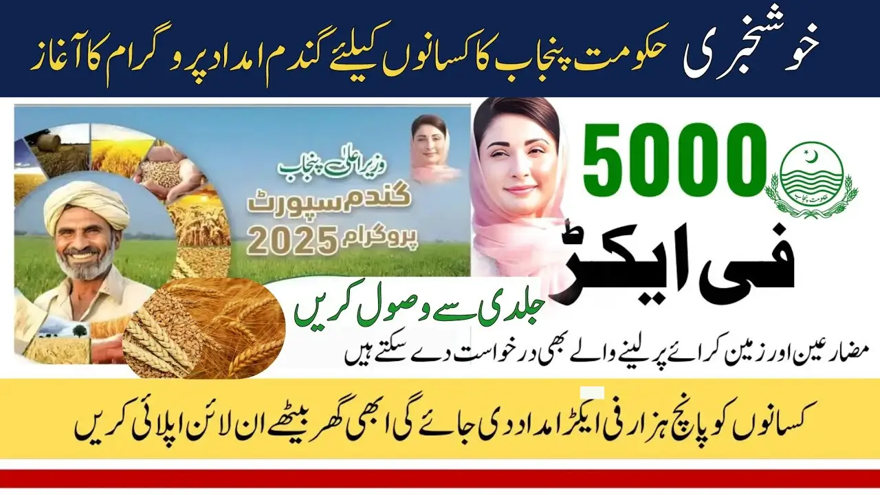 Punjab CM Wheat Support Program 2025 – Apply Now and Get Rs. 5,000 Per Acre