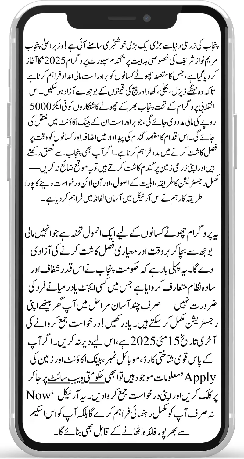 Punjab CM Wheat Support Program 2025 – Apply Now and Get Rs. 5,000 Per Acre