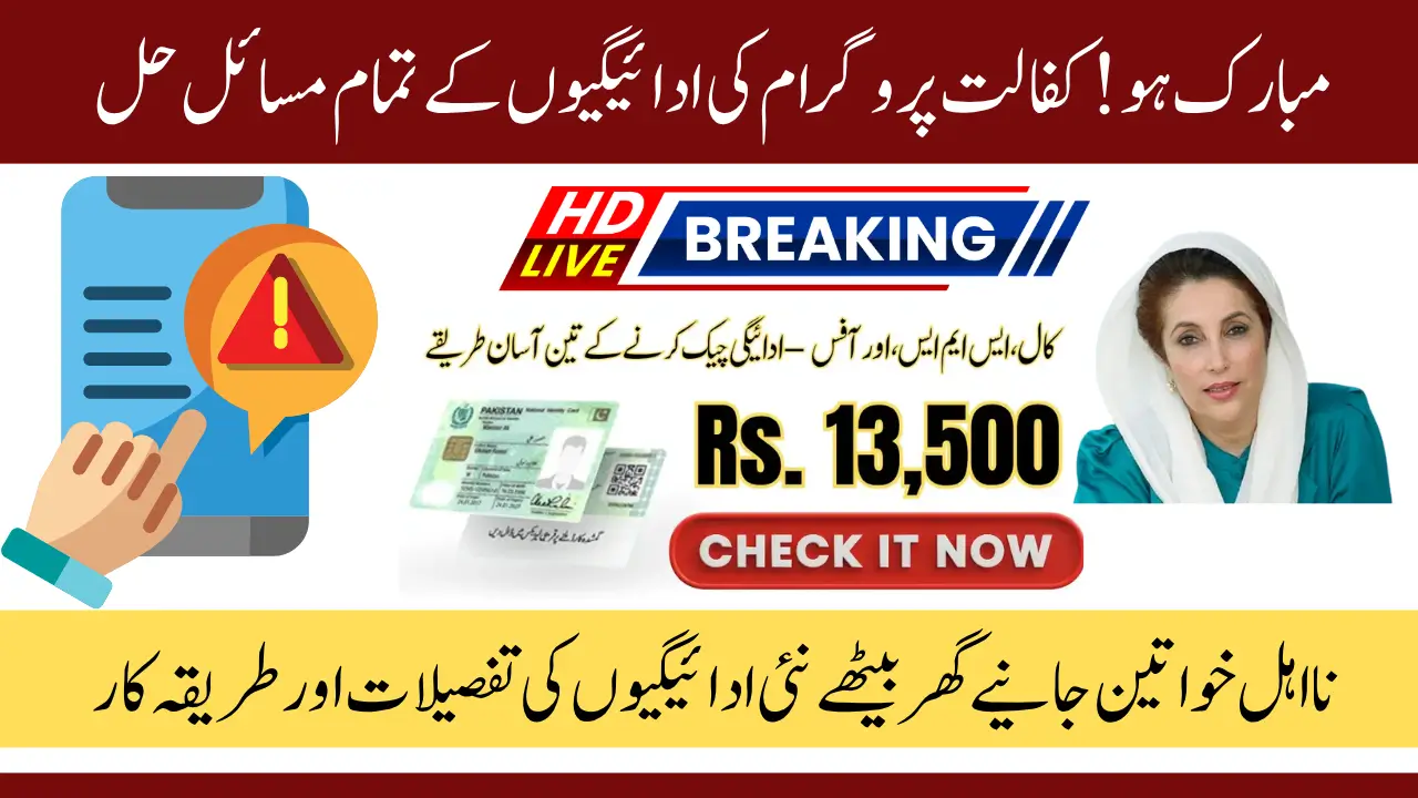 8171 Ehsaas Program Payment Issue Solved Full August 2025 Method to Get Your Payment Fast8171 Ehsaas Program Payment Issue Solved Full August 2025 Method to Get Your Payment Fast